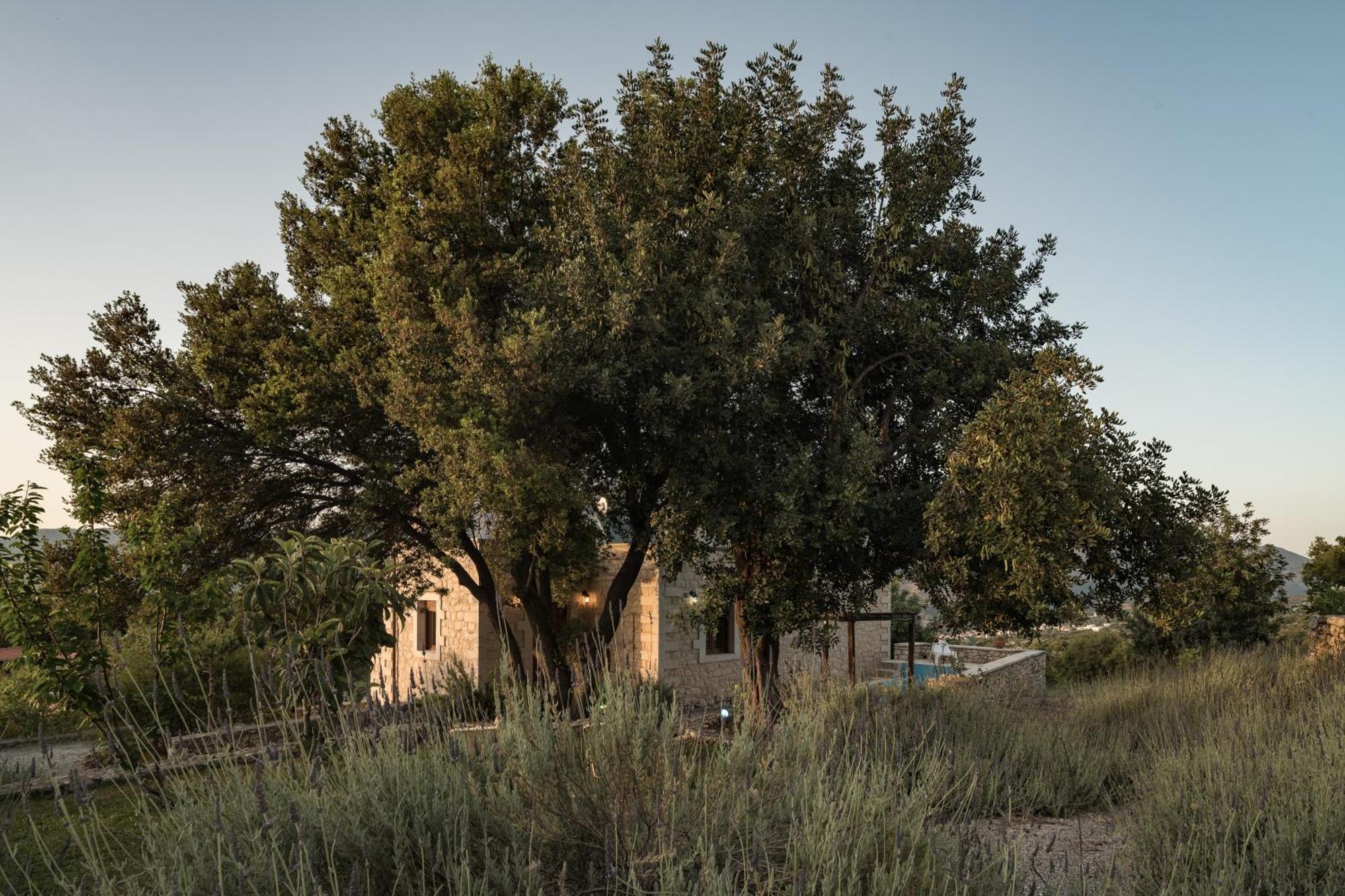 Koules Estate, With Private Pools & Bbq - Embracing Nature, By Thinkvilla Argouli Oda fotoğraf